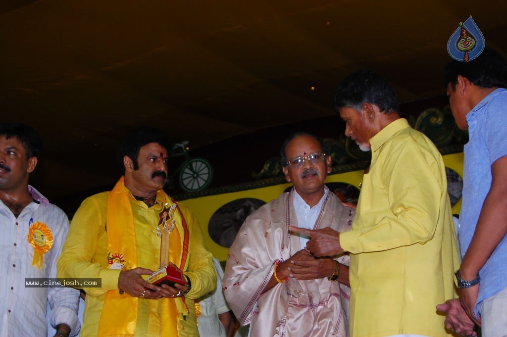 TDP Mahanadu 2013 Photos - 92 / 150 photos