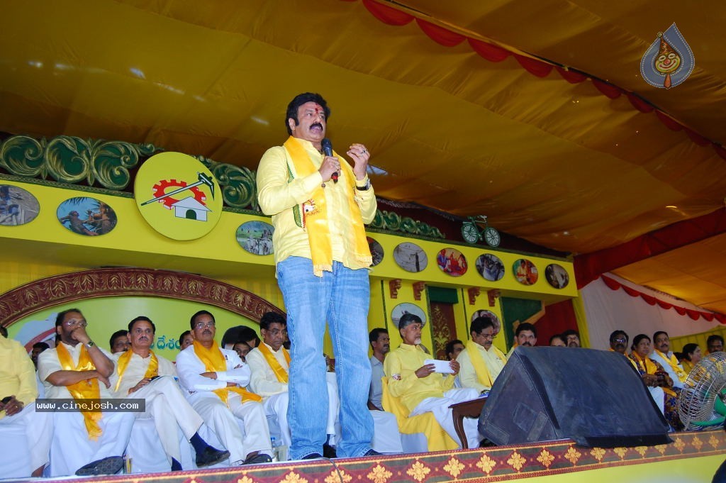 TDP Mahanadu 2013 Photos - 95 / 150 photos