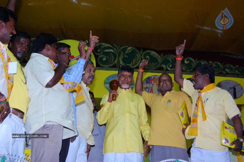TDP Mahanadu 2013 Photos - 99 / 150 photos