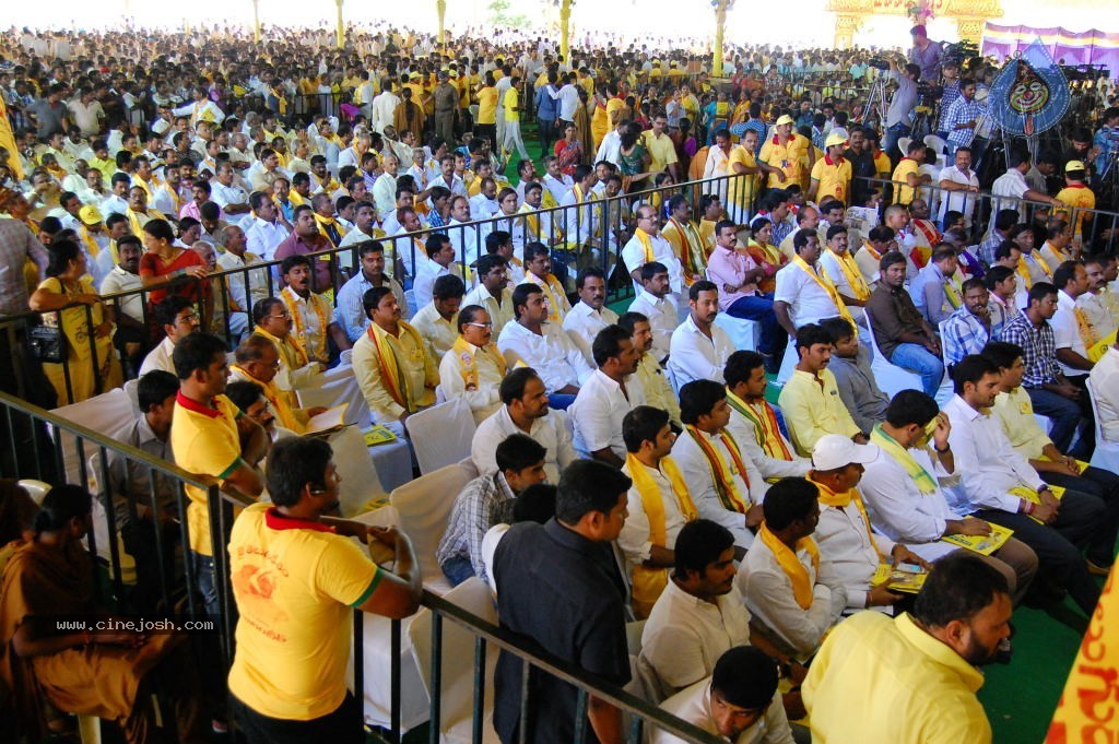 TDP Mahanadu 2013 Photos - 106 / 150 photos