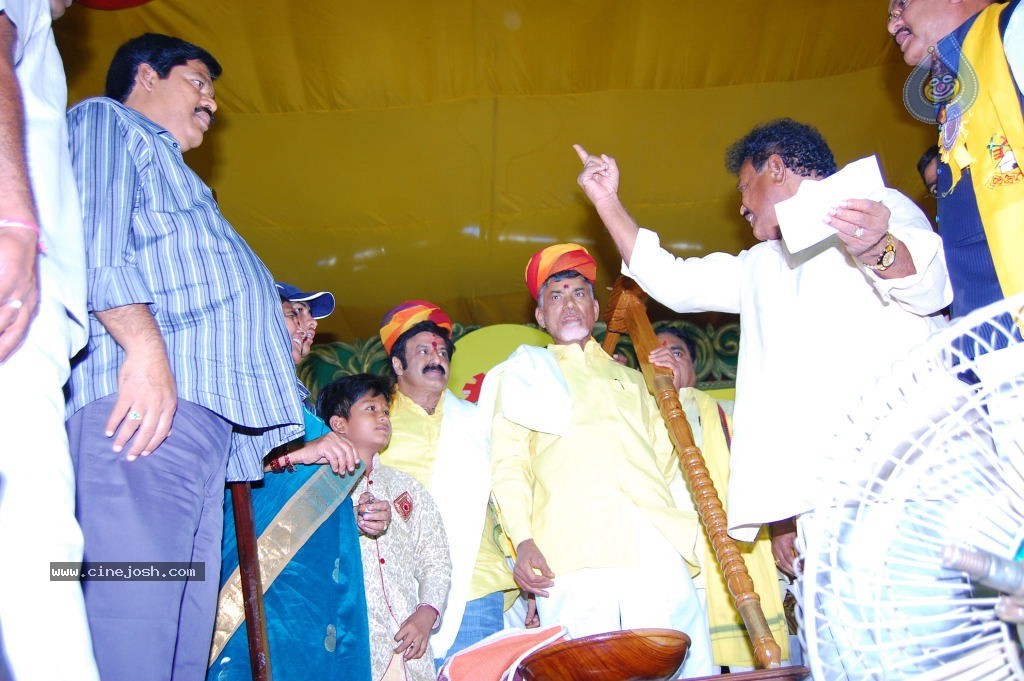 TDP Mahanadu 2013 Photos - 114 / 150 photos