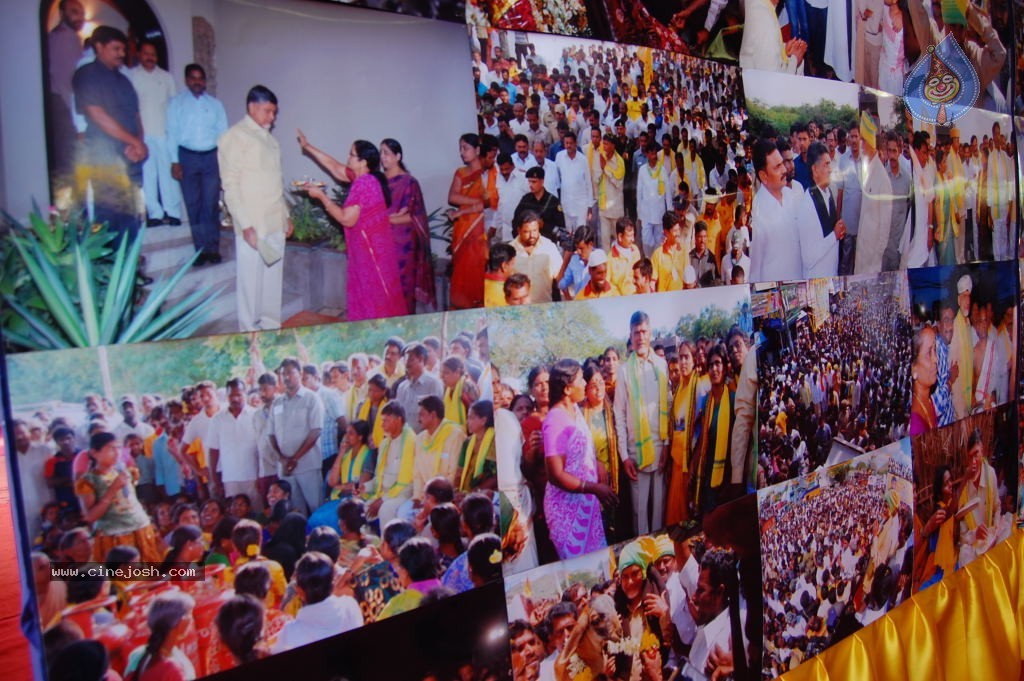 TDP Mahanadu 2013 Photos - 128 / 150 photos