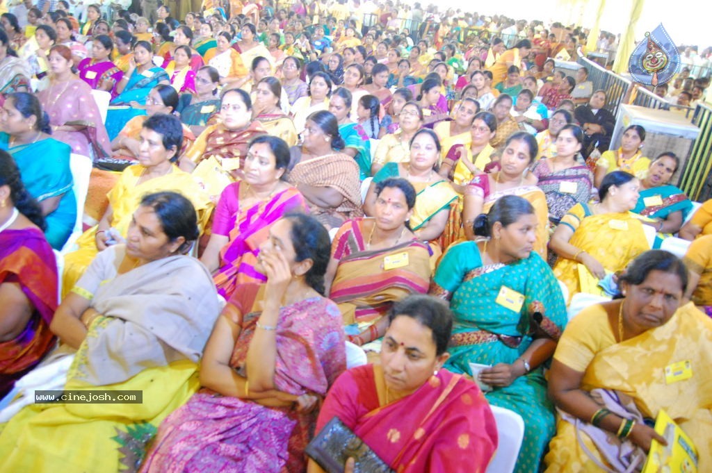 TDP Mahanadu 2013 Photos - 133 / 150 photos