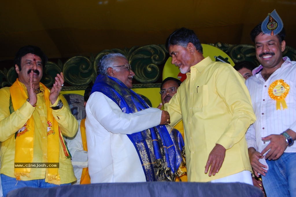 TDP Mahanadu 2013 Photos - 140 / 150 photos