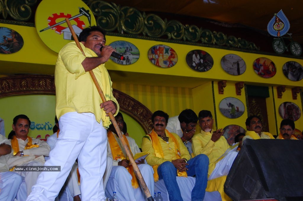 TDP Mahanadu 2013 Photos - 145 / 150 photos
