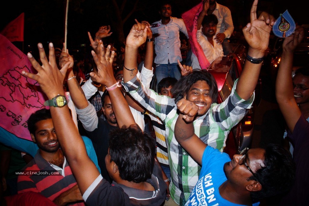 Telangana Formation Celebrations  - 53 / 319 photos