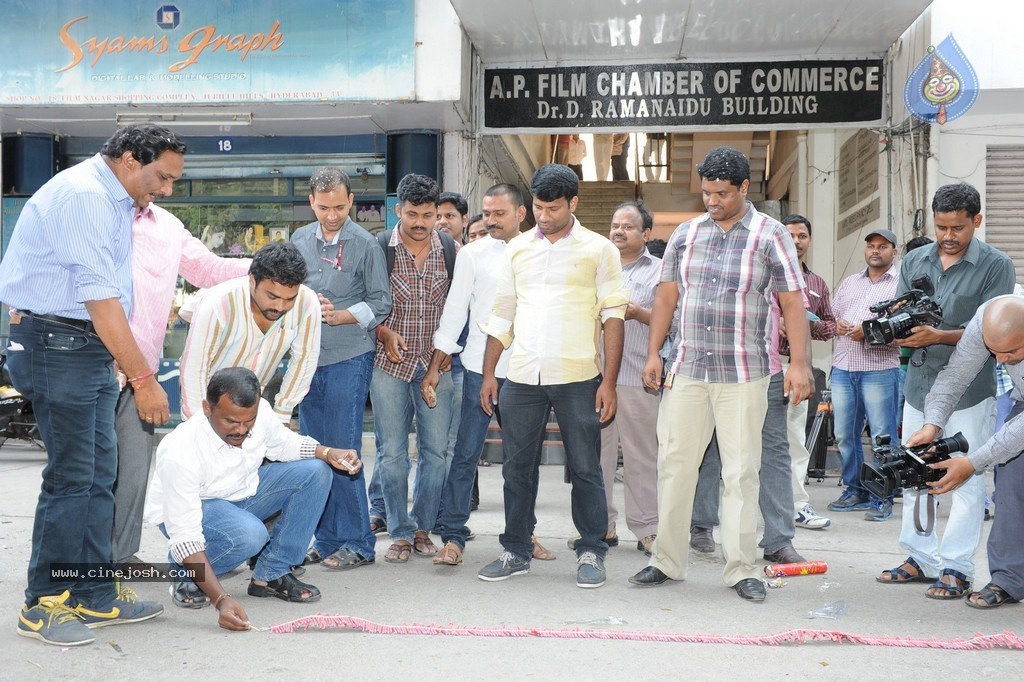 Telangana Formation Celebrations  - 76 / 319 photos