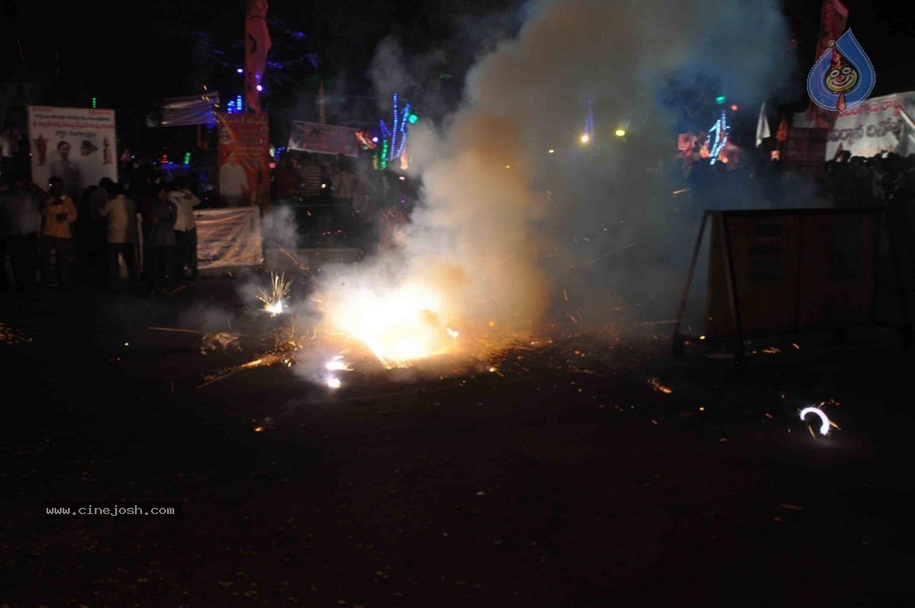 Telangana Formation Celebrations  - 80 / 319 photos