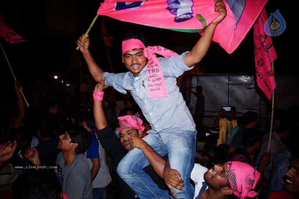 Telangana Formation Celebrations  - 99 / 319 photos