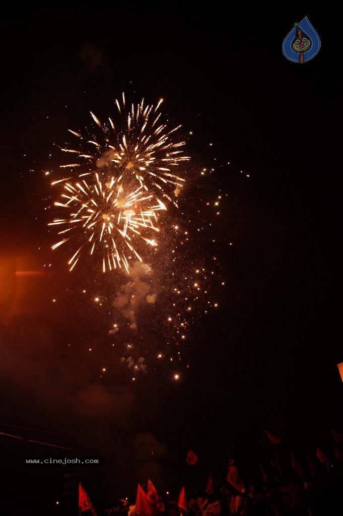 Telangana Formation Celebrations  - 204 / 319 photos