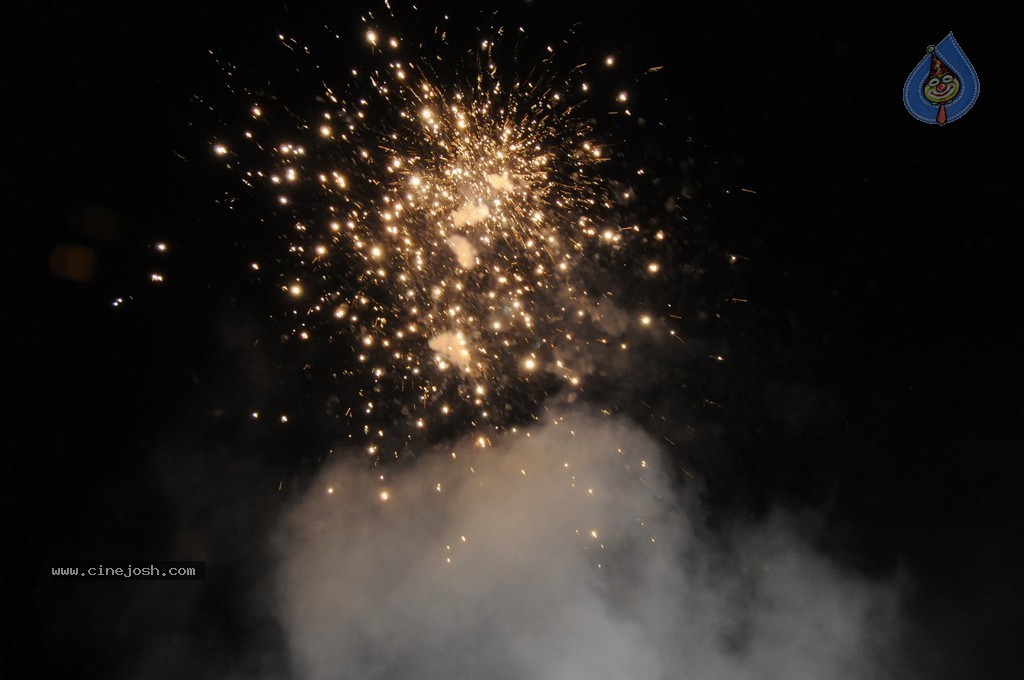 Telangana Formation Celebrations  - 305 / 319 photos