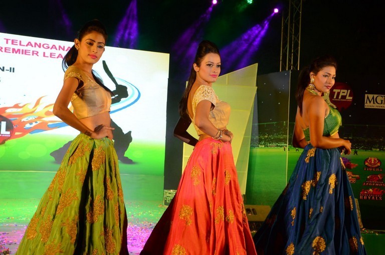 Telangana Premier League Grand Launch Event - 28 / 59 photos