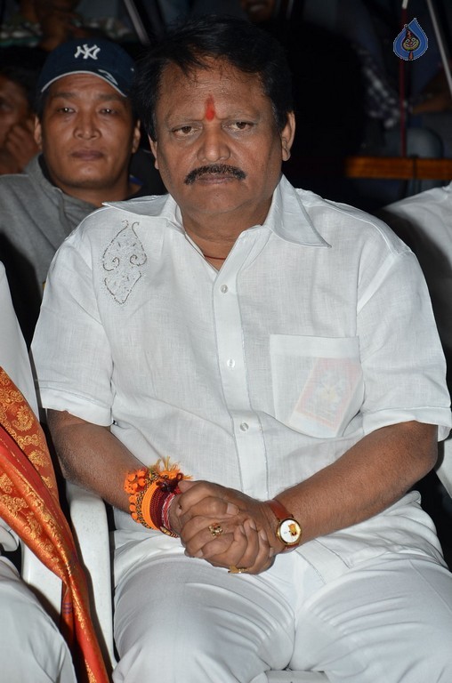 Telugu Cinema Talli Puttina Roju Panduga Event - 7 / 63 photos