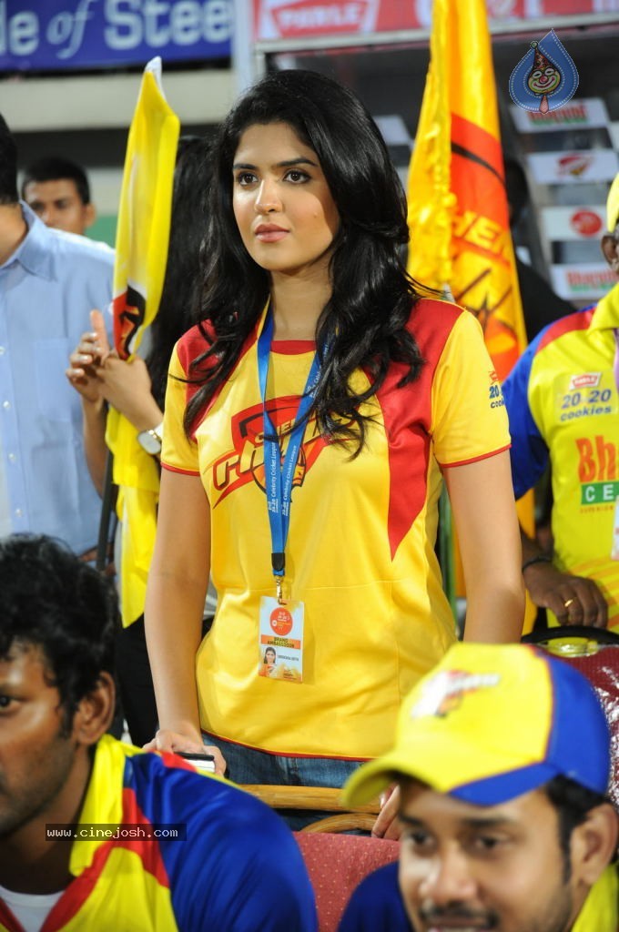 Telugu Warriors VS Chennai Rhinos Match  - 11 / 61 photos