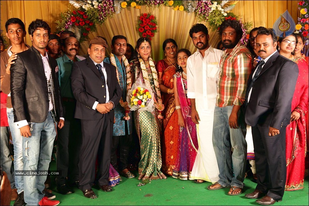 Thambi Ramaiah Daughter Wedding n Reception - 11 / 68 photos