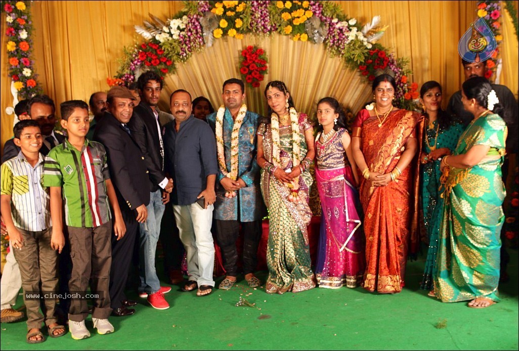 Thambi Ramaiah Daughter Wedding n Reception - 53 / 68 photos