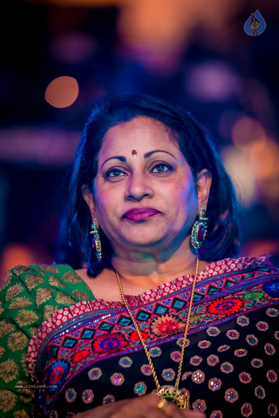 Top Celebs at SIIMA Awards 2014 - 4 / 150 photos