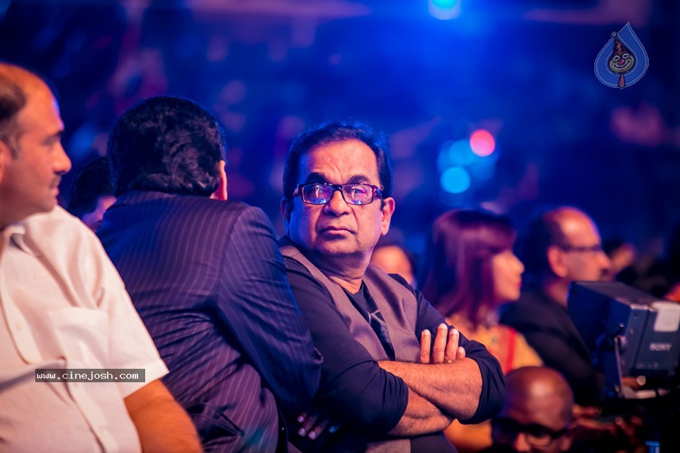 Top Celebs at SIIMA Awards 2014 - 44 / 150 photos