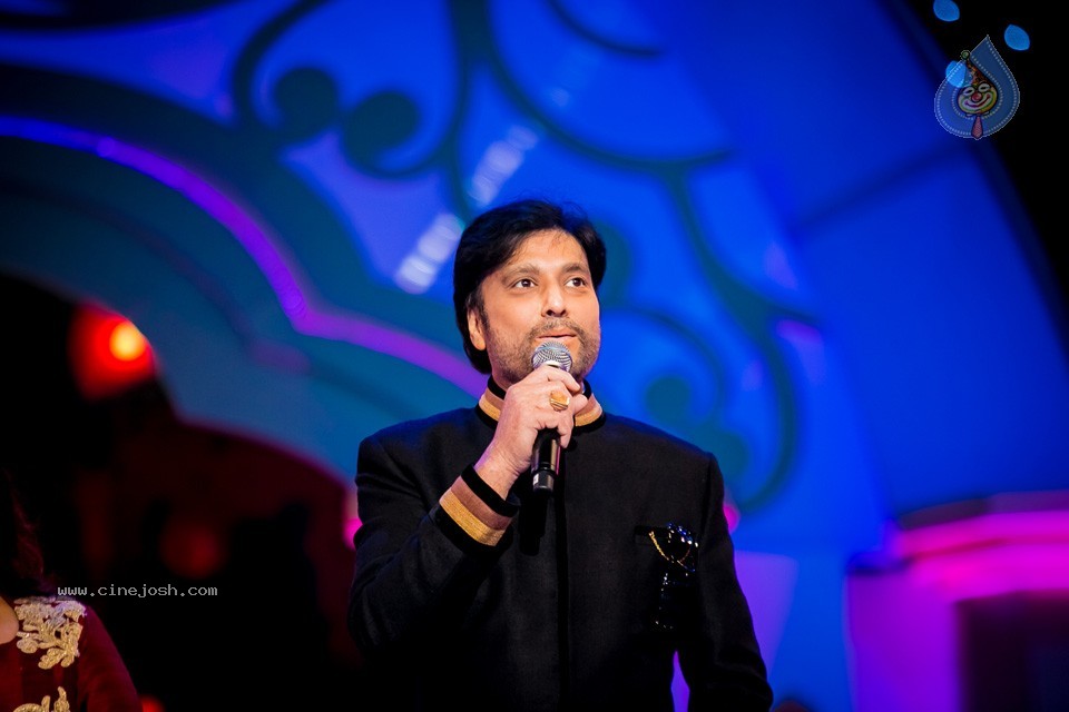 Top Celebs at SIIMA Awards 2014 - 63 / 150 photos