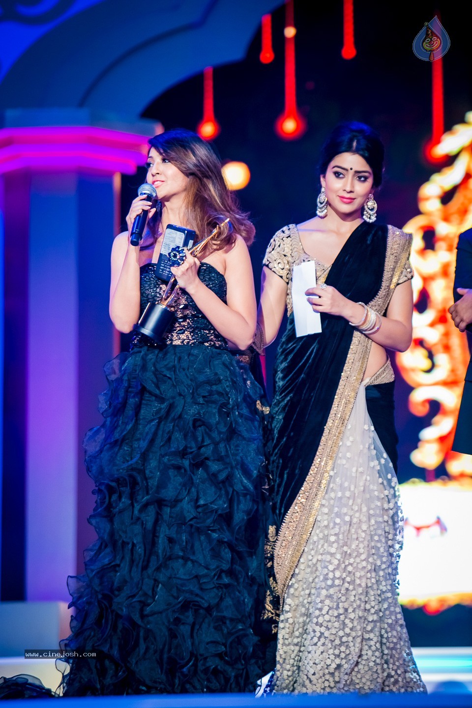 Top Celebs at SIIMA Awards 2014 - 79 / 150 photos