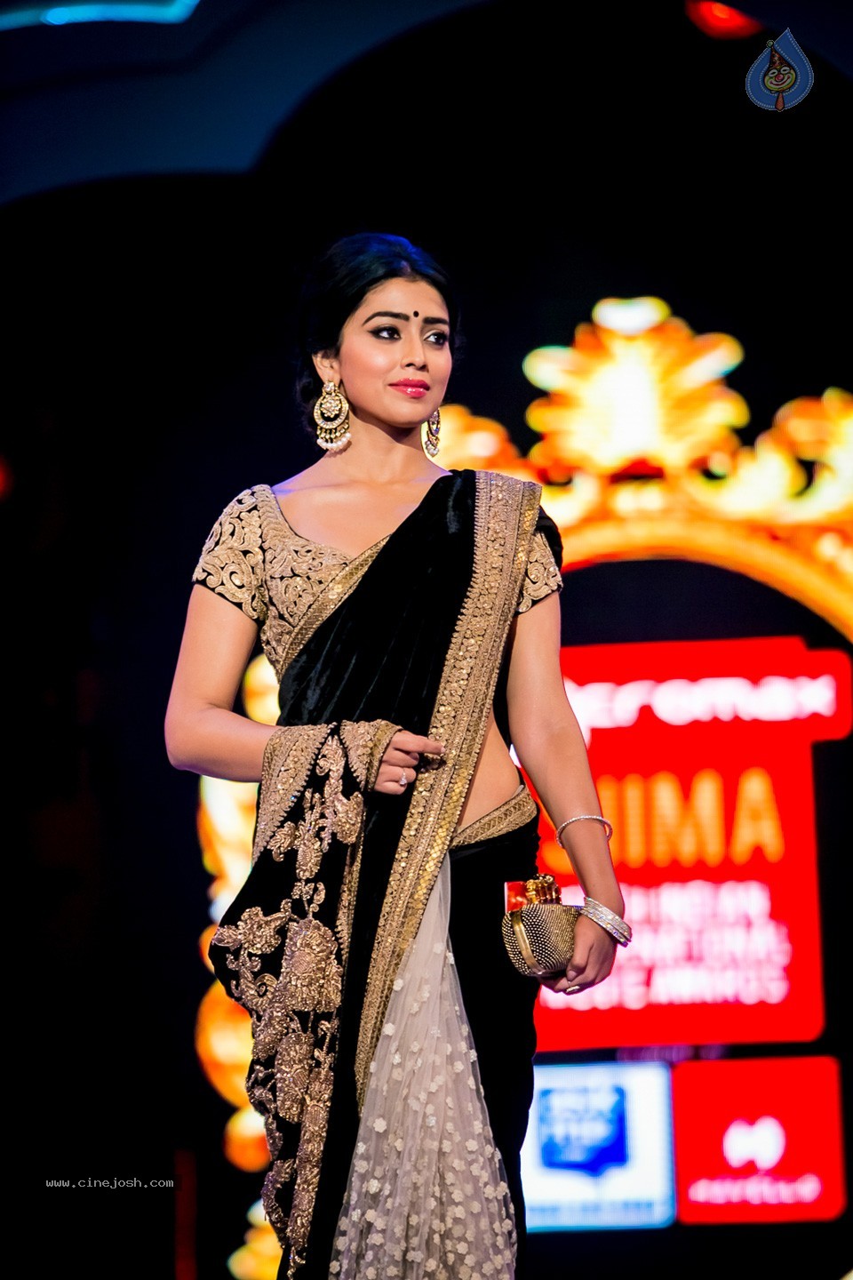 Top Celebs at SIIMA Awards 2014 - 110 / 150 photos