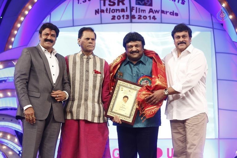 TSR - TV9 National Film Awards Photos 2 - 49 / 92 photos