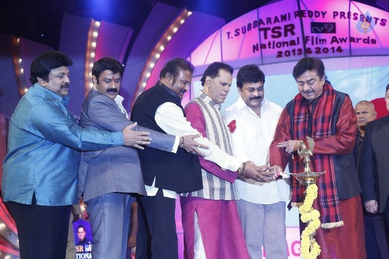 TSR - TV9 National Film Awards Photos 2 - 55 / 92 photos