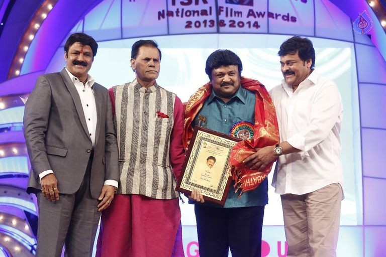 TSR - TV9 National Film Awards Photos 2 - 75 / 92 photos