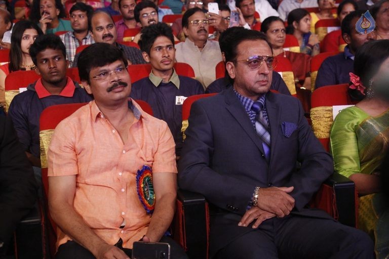 TSR - TV9 National Film Awards Photos 2 - 85 / 92 photos