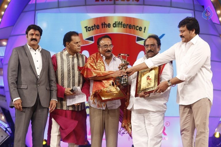 TSR - TV9 National Film Awards Photos 2 - 89 / 92 photos