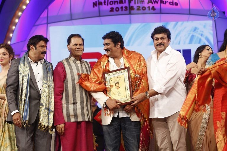 TSR - TV9 National Film Awards Photos 3 - 91 / 441 photos