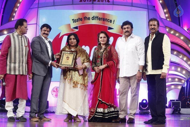 TSR - TV9 National Film Awards Photos 3 - 99 / 441 photos