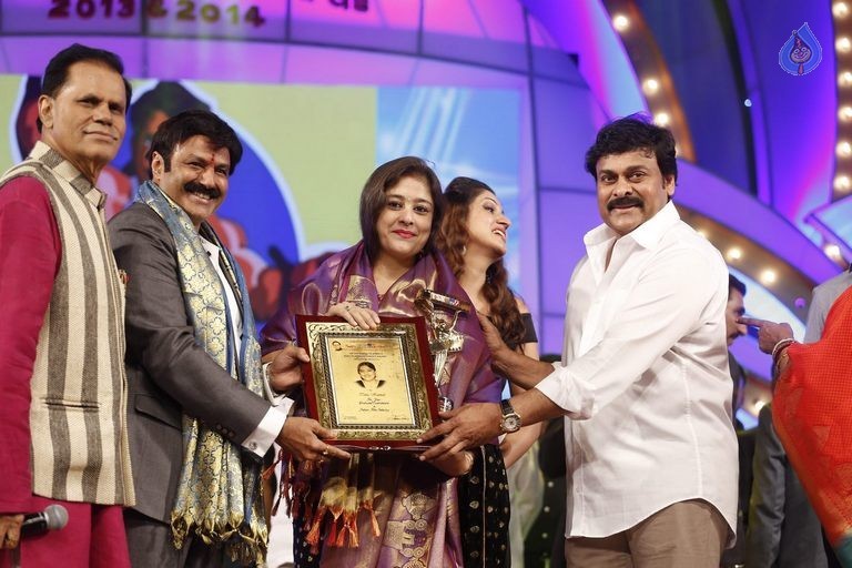 TSR - TV9 National Film Awards Photos 3 - 176 / 441 photos