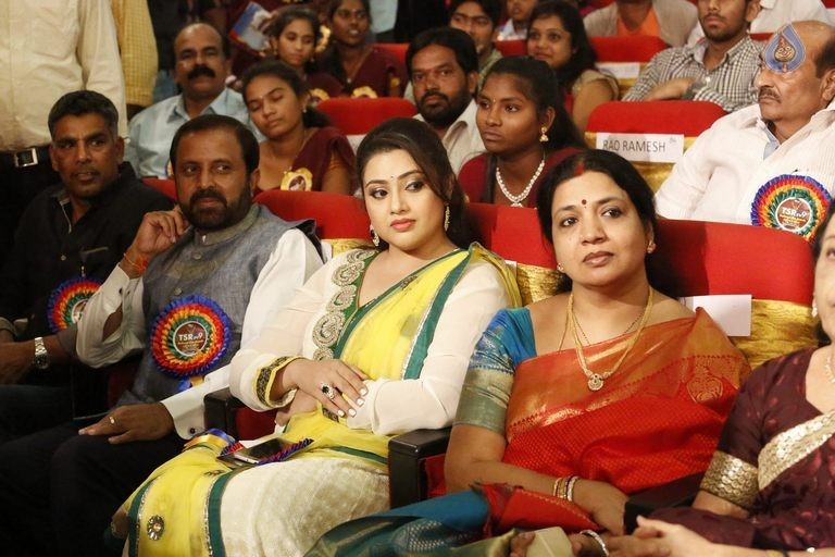 TSR - TV9 National Film Awards Photos 3 - 356 / 441 photos