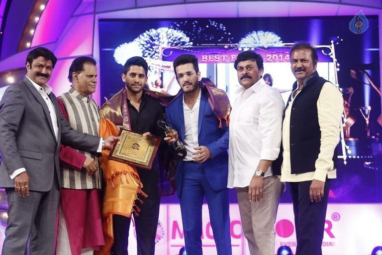 TSR - TV9 National Film Awards Photos 3 - 385 / 441 photos