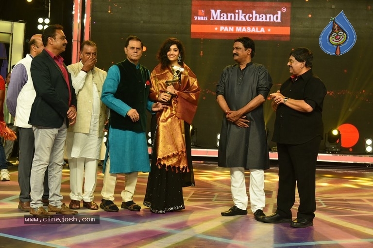 TSR National Film Awards - 31 / 45 photos