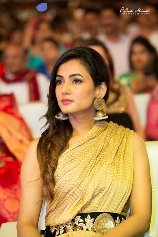 TSR TV9 National Film Awards 2015 and 2016 Photos - 33 / 88 photos