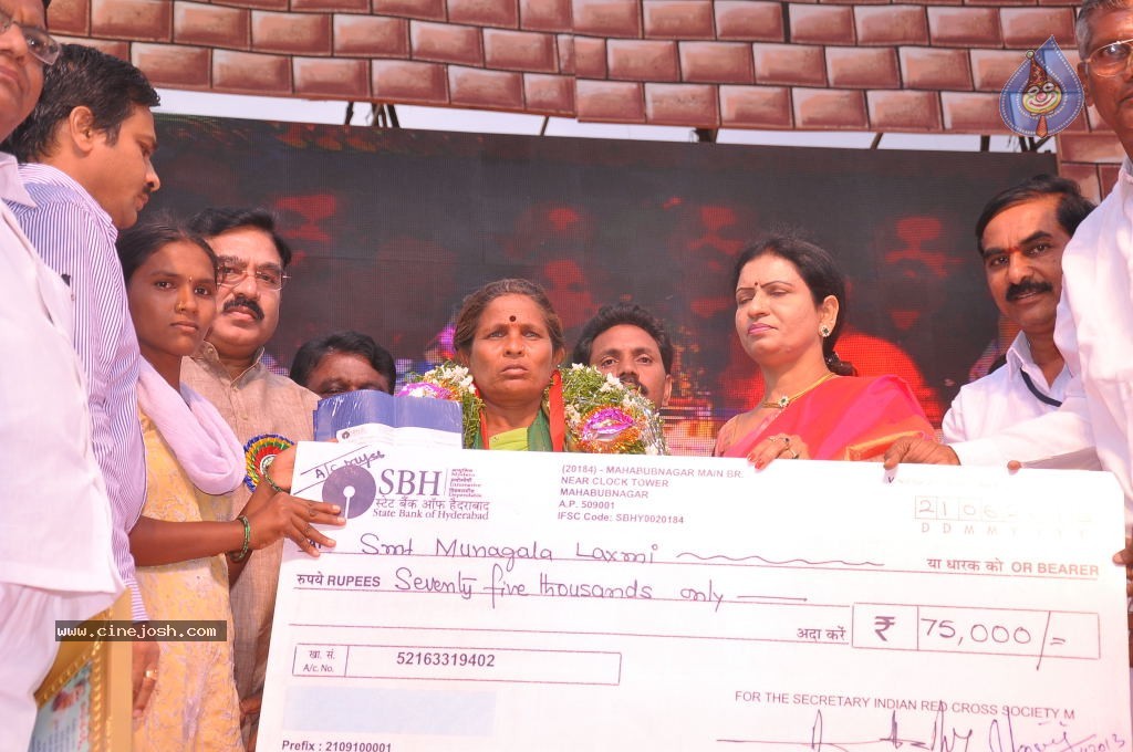 TV Nandi Awards 2011 - 3 / 326 photos