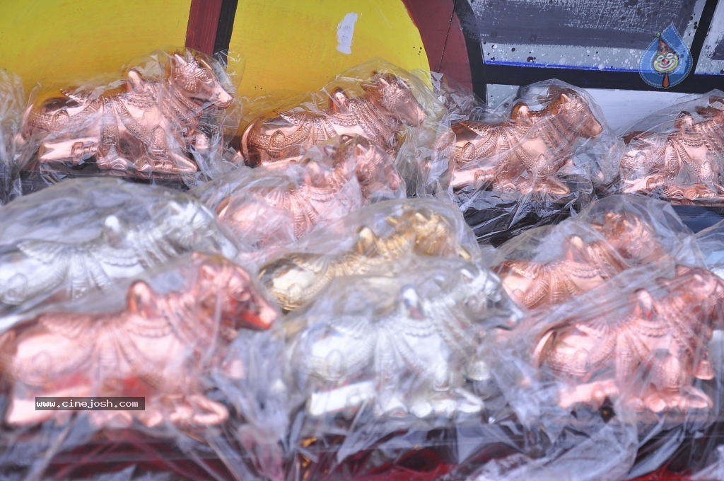 TV Nandi Awards 2011 - 17 / 326 photos