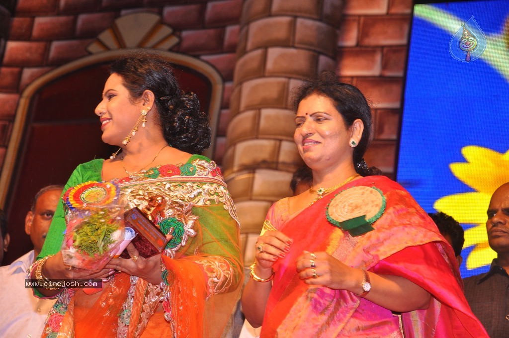TV Nandi Awards 2011 - 36 / 326 photos