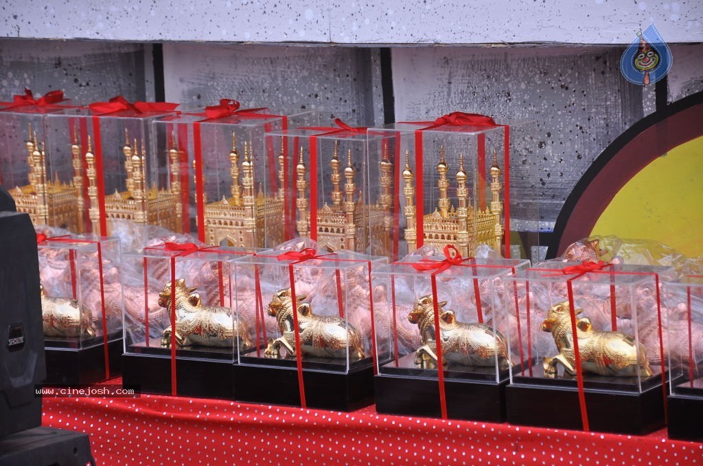 TV Nandi Awards 2011 - 188 / 326 photos