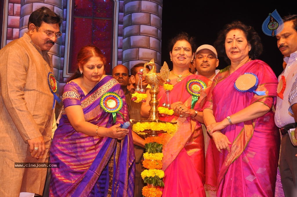 TV Nandi Awards 2011 - 191 / 326 photos
