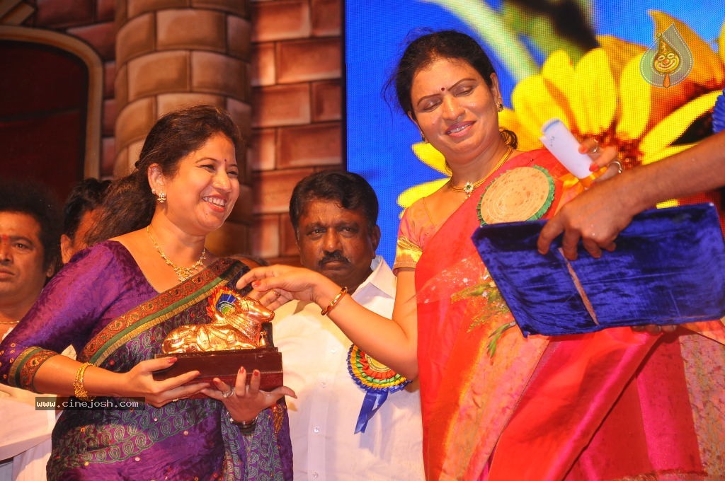 TV Nandi Awards 2011 - 296 / 326 photos
