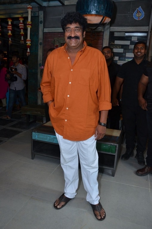 Ulavacharu Restaurant Launch Photos - 50 / 161 photos