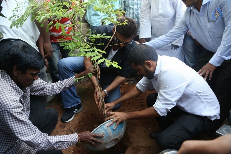 Venkatesh at Haritha Haram Program - 7 / 42 photos