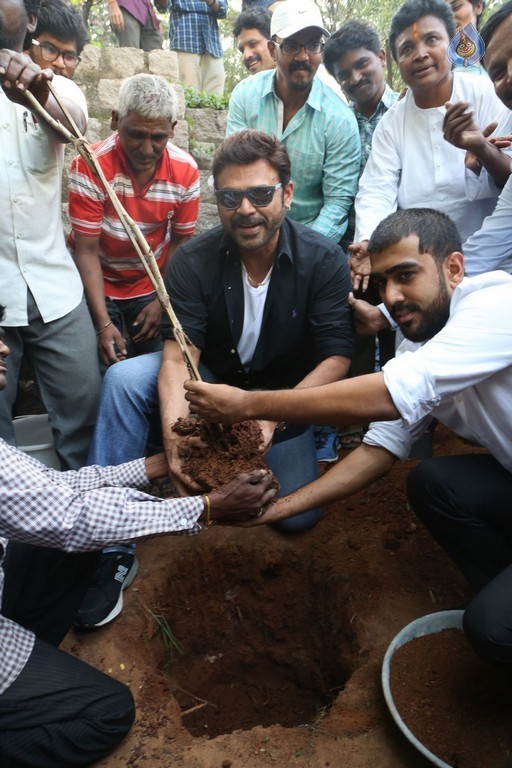 Venkatesh at Haritha Haram Program - 21 / 42 photos