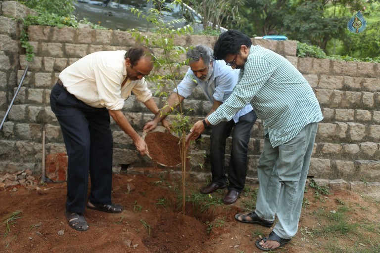 Venkatesh at Haritha Haram Program - 26 / 42 photos