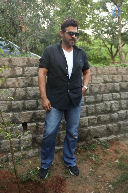 Venkatesh at Haritha Haram Program - 29 / 42 photos