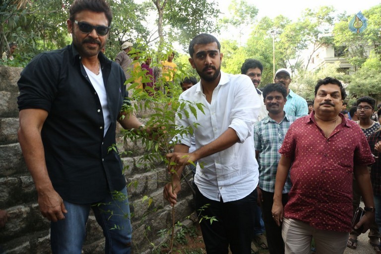 Venkatesh at Haritha Haram Program - 31 / 42 photos