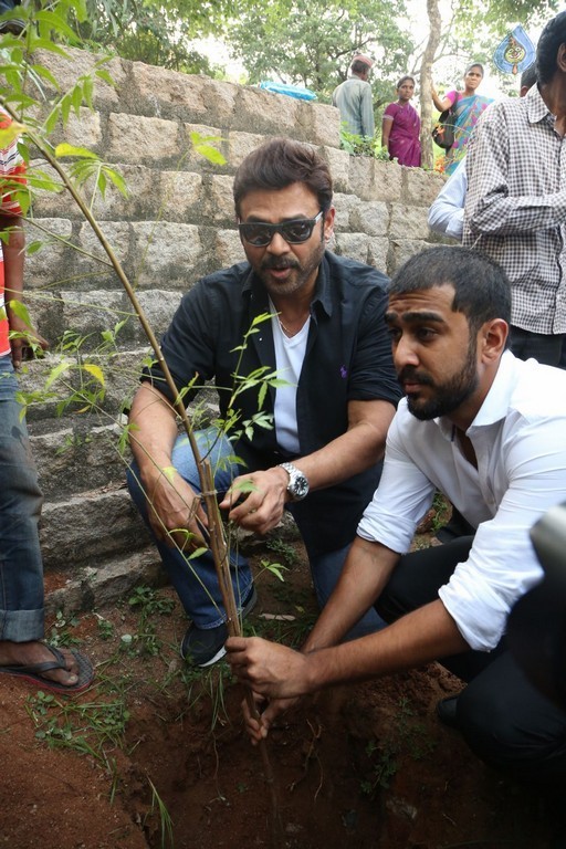 Venkatesh at Haritha Haram Program - 37 / 42 photos